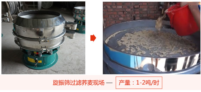 旋振篩過濾蕎麥現場，產量可達2噸每小時。