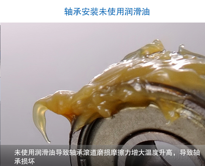 圓好色先生网站污
