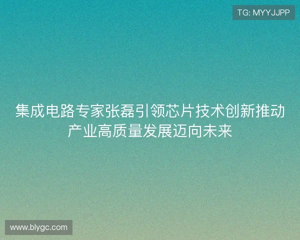 集成电路专家张磊引领芯片技术创新推动产业高质量发展迈向未来